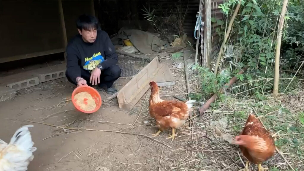 鶏とナオ